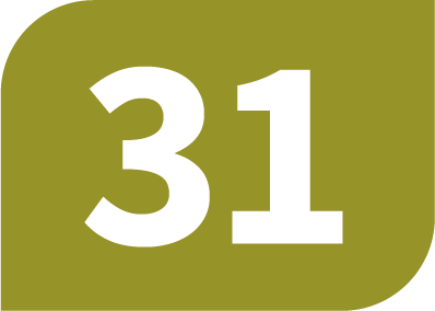 31