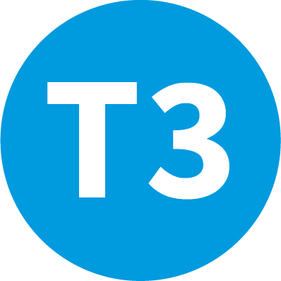 T3